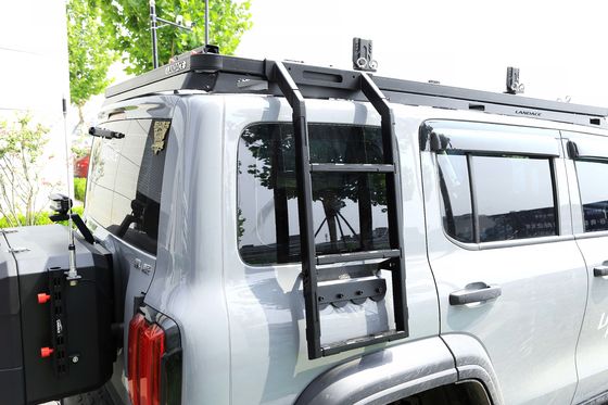 Elektroroz ve toz kaplama yan merdiven tank için 300 araba merdiven çatı rafı