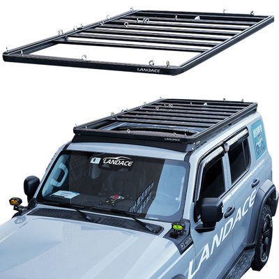 Landace Landace Logo Özel Tasarım